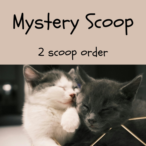 Mystery Cat Lover Scoop