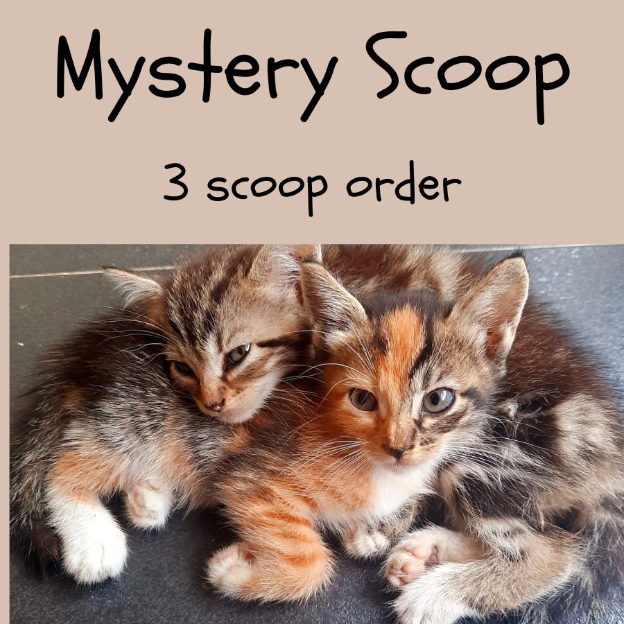 Mystery Cat Lover Scoop