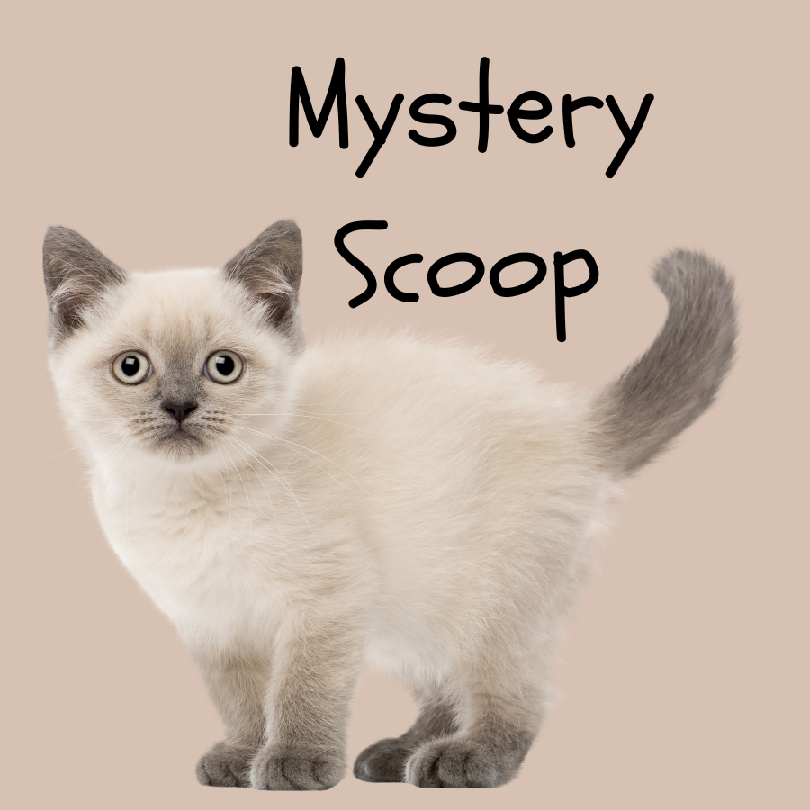 Mystery Cat Lover Scoop